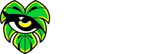 Dżungla Gym